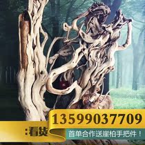 Taihang cliff root carving ornaments natural aging root carving large living room porch gift golden silk Nan root art carving