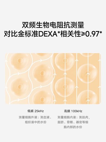 Neues Produkt Xiaomi Acht-Elektroden-Körperfettwaage S800 Heimfettreduktion elektronische Waage genaue Körperformung und gesunde elektronische Waage