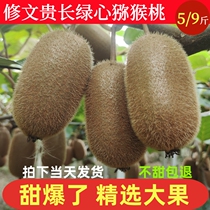 Xiuwen kiwi fruit a specialty of Guizhou authentic Guichang green heart kiwi fruit fresh and ready for pregnant women in season whole box