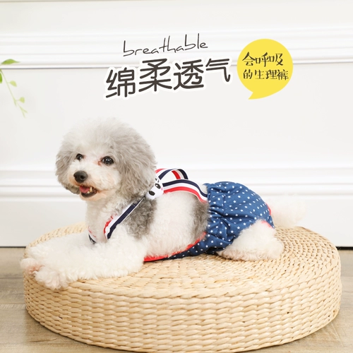 Физиологичные безопасные штаны, салфетки, нижнее белье