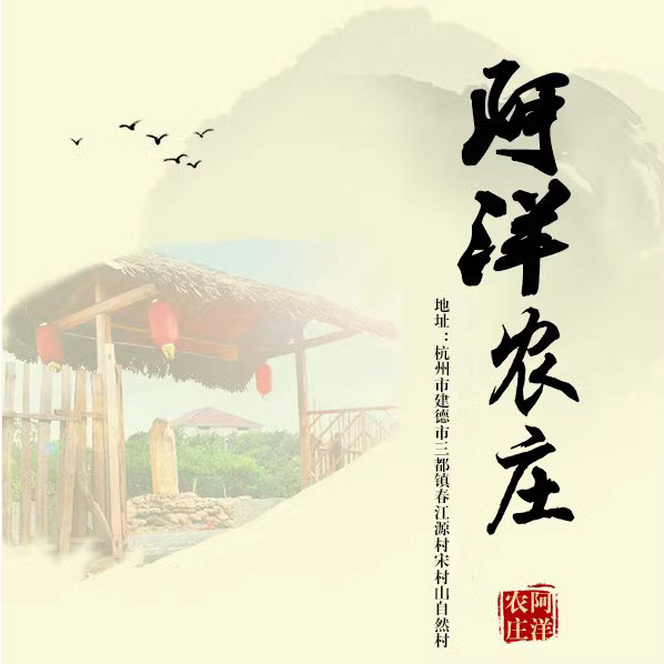 阿洋农庄