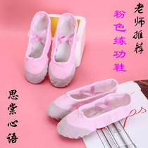  Dance shoes Womens soft-soled practice shoes Adult childrens cat claw shoes Body yoga shoes Ballet belly dance shoes Dance shoes