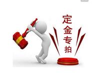 Payment of the Special Deposit for the Payment of the Payment Fee to make the non-refundable spread
