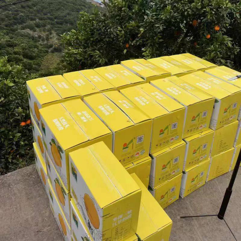 ⚡️长虹能源最新进展！新能源赛道的隐藏王者，你还不知道？