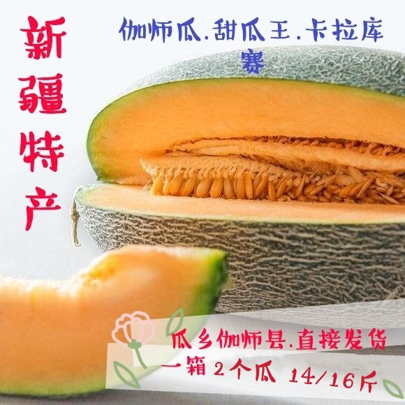 Xinjiang special products authentic gamigar melon fresh fruit all-netted karacussey under the first melon king