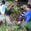 贵州从江瑶浴源头直发