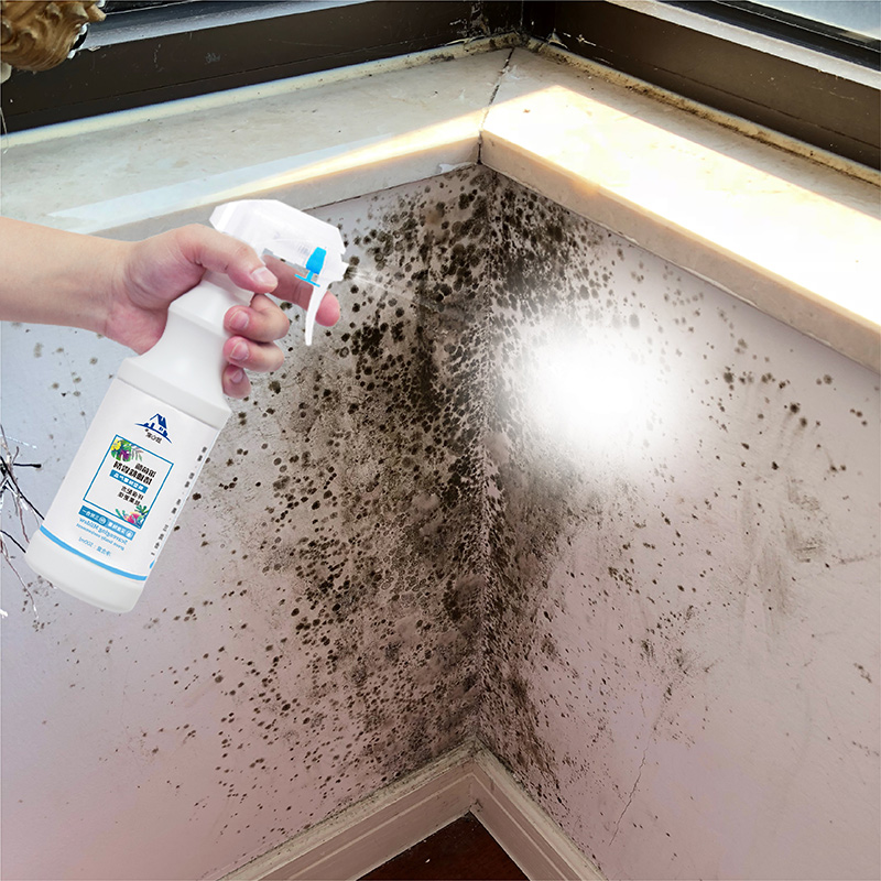2 bottles of wall mildew remover Non-toxic indoor wall wall mildew spot removal Household wall ceiling remover