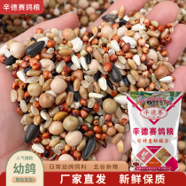 Cindersey ex-gratia A class young pigeon 50 catty Geon Racing Pigeon Racing Pigeon Peas No Peanut feed Jiang Zhejiang Shanghai