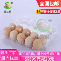 Plastic transparent 10 pieces of chicken egg tray disposable earthen egg packaging gift box manufacturers 100