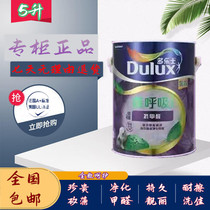 Dortssen Breathing No Add Diatom Anti-formaldehyde Full Effect Wall Paint Paint Latex Paint Interior Wall Paint 5L