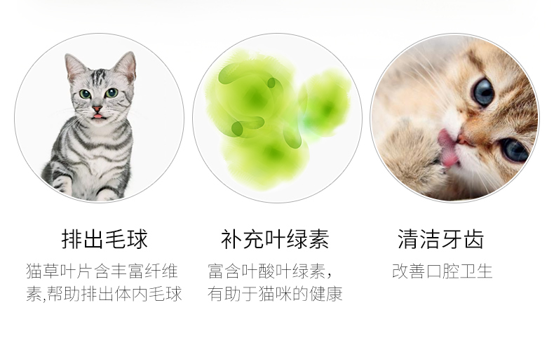 Cat cỏ hạt giống bột bạc mèo ăn nhẹ mèo tóc kem để tóc bóng mèo trồng hạt giống bộ mèo cung cấp - Đồ ăn nhẹ cho mèo hạt mèo catsrang