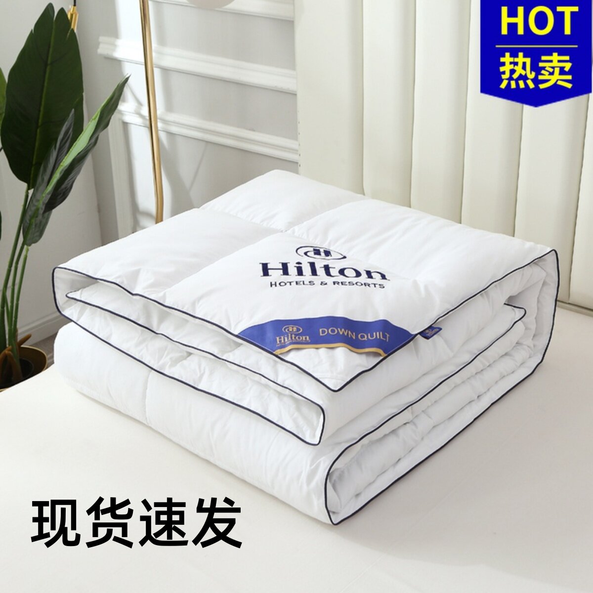 Hilton Hotel Down to Thickened Warm Double Quilt Winter Quilt by Core Single Student Bedding Cotton Spring Autumn Quilt