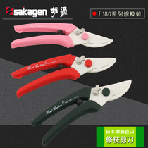 Japans Sakiyuan Inlet Home Flower Potted Hand Cut Special Plant Modified Flower Garden Pruning Gardening Scissors