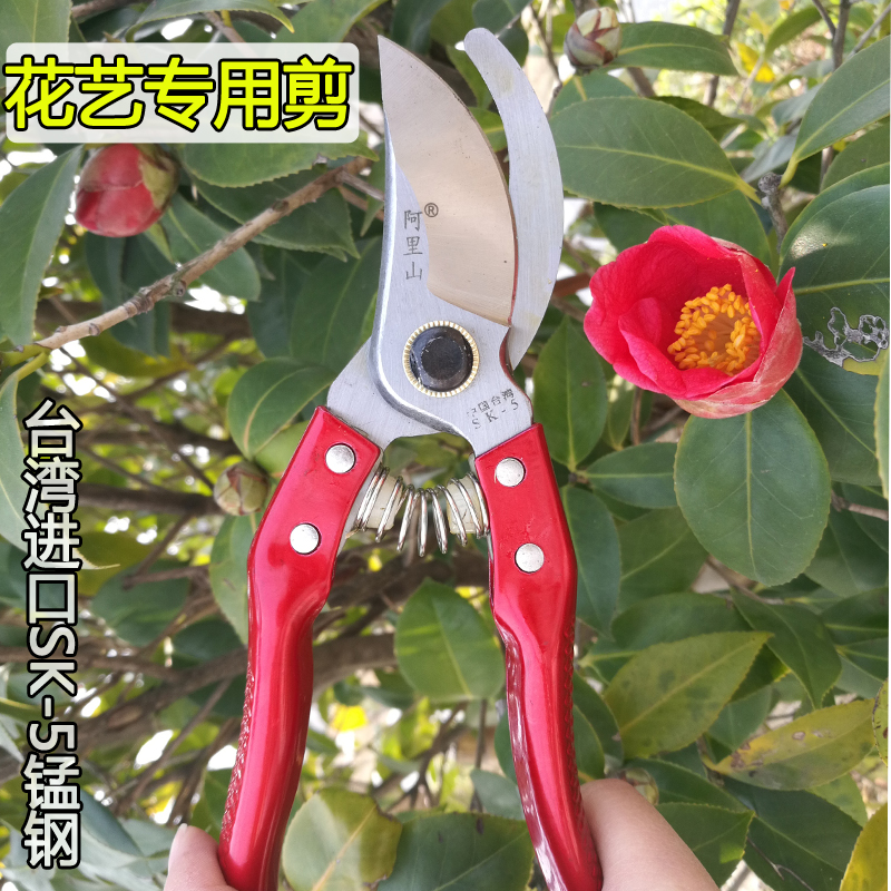 Flower shears garden shears pruning branch shears pruning shears fruit tree shears flower garden shears flower branch shears flower pruning