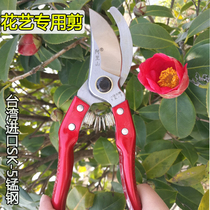 Flower scissors gardening scissors pruning branches scissors pruning scissors fruit tree scissors flower garden scissors Flower Branch scissors