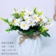 01-Han JUT POTTED WHITE