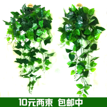 Artificial green plant fake flower rattan green dill wall hanging hanging orchid vine plant decorative hanging basket Indoor living room wall leaves