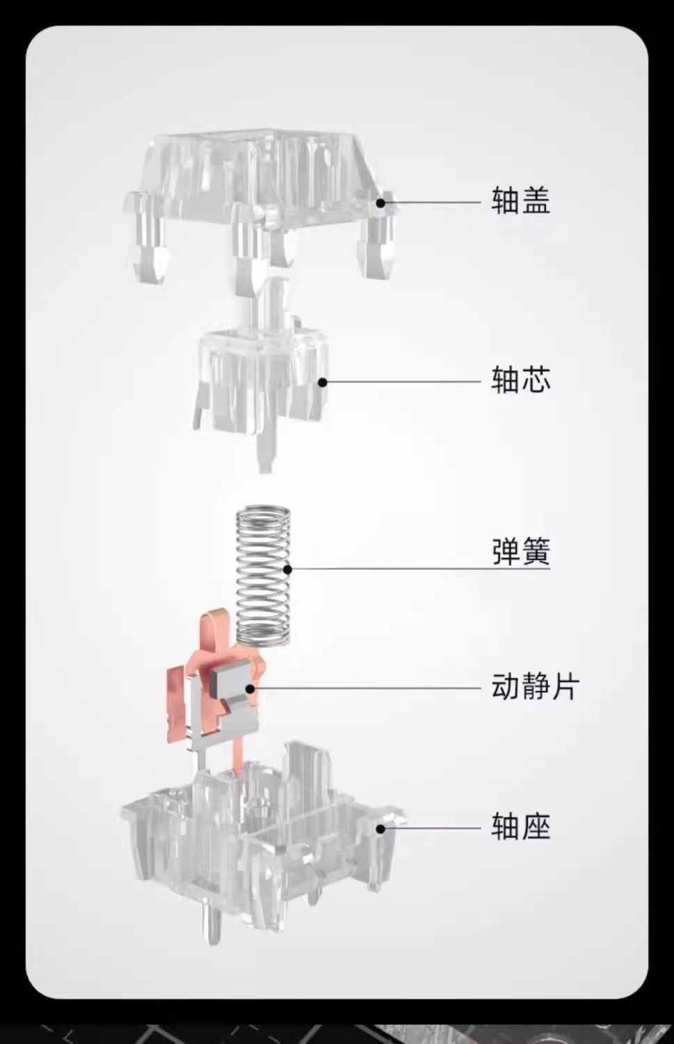 Вал 【顺丰】爱国心皎月轴厚润全透明水晶轴线性五脚热插拔hifi麻将音