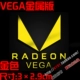 H.Vega 3 × 2,9 см золота
