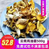 Chicken oil fungus dry goods a catty 500 grams of Elm yellow fungus dry products Yunnan specialty wild fungus guarantee new goods