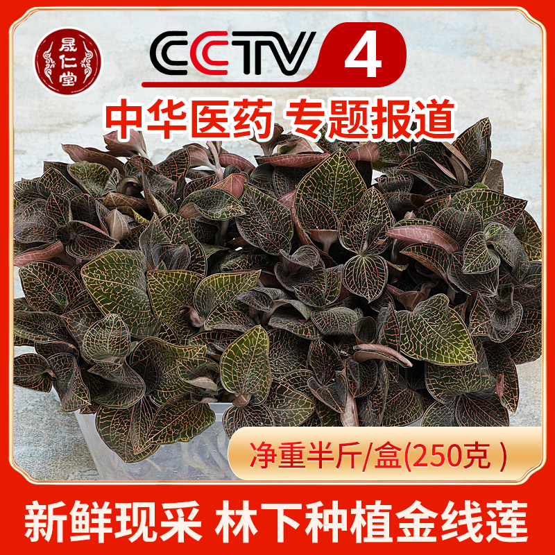 Sheng Rentang Fresh Golden Thread Lotus Fresh 250 gr Fujian South Jing Tulou Lin Lower pure native planting the whole plant seedlings