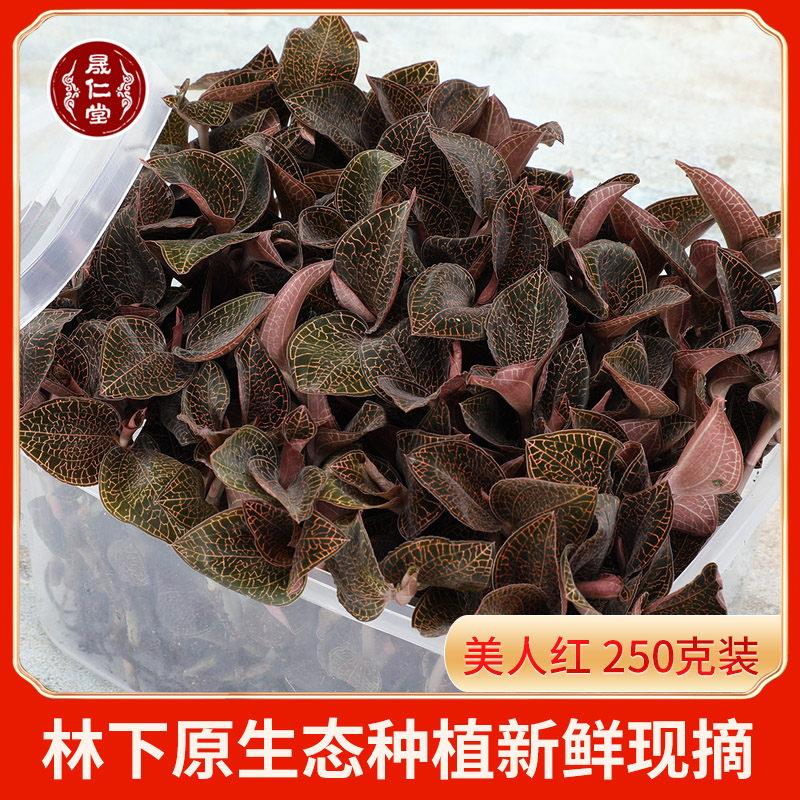 Sheng Rentang Golden Thread Lotus Fresh Product Whole Plant Fry 250 gr Beauty Red Fujian South Jinglin Lower Original Ecological Cultivation