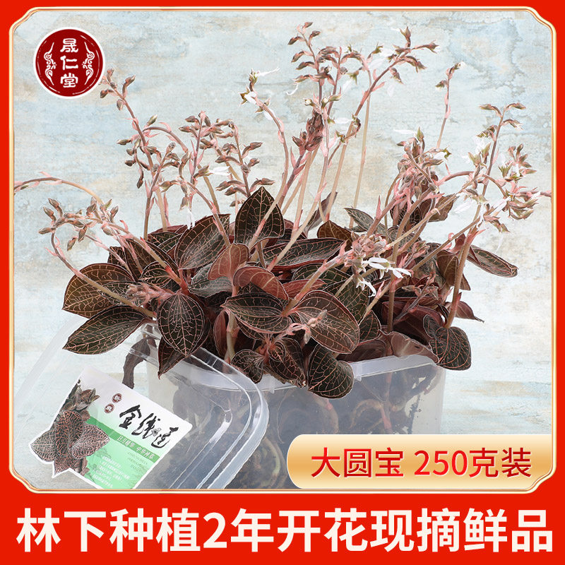 Shengren Tong with flower fresh gold line lotus 250 grams large round leaf Fujian Nanjing Lin Nanjing Original Ecology 2 years