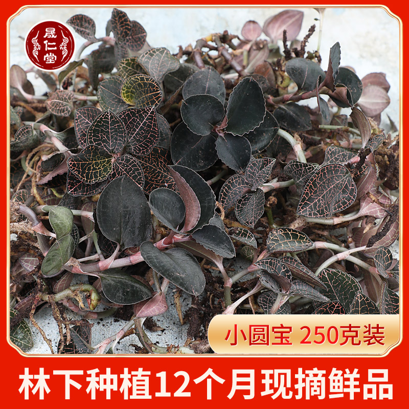Shengrentang Pure native planting under the forest for 12 months, Fujian Nanjing fresh golden clematis fresh product 250g Xiaoyuanbao