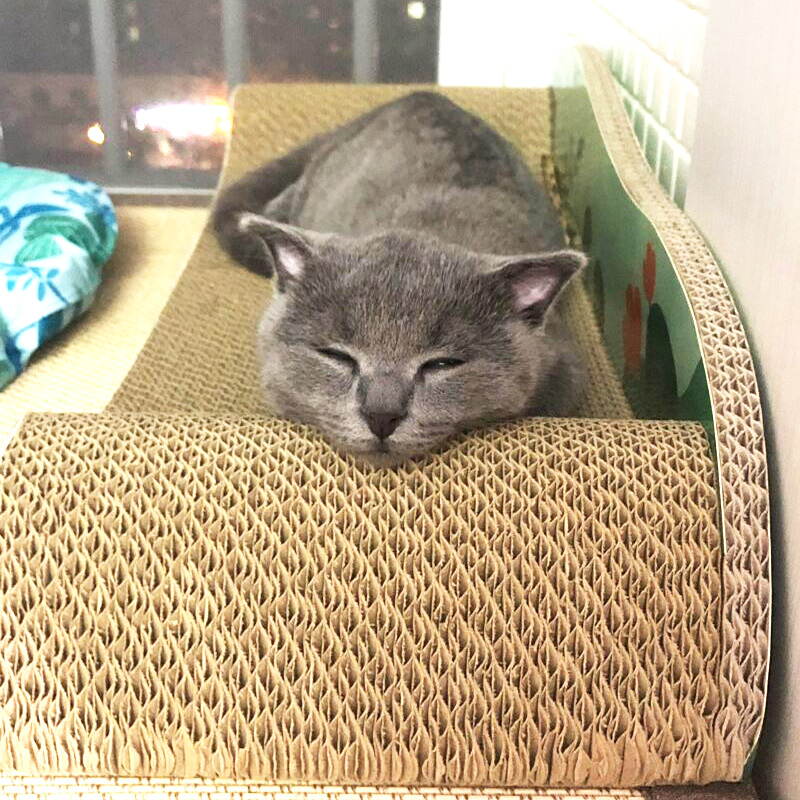 Cat grabbing plate large wear resistant cat claw plate not dropping scrap cat sofa Anti-cat grabbing corrugated paper cowl kitty Cat Grinding Claw-Taobao