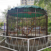 Iron art decoration outdoor large birdcage starling budgerigar oversized peacock netting birdcage giant custom