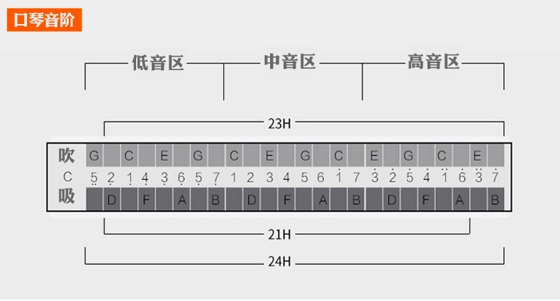 Harmonica Swan 24 lỗ đa âm C người mới bắt đầu dạy trẻ chuyên nghiệp học sinh giới thiệu người lớn chơi nhạc cụ - Nhạc cụ phương Tây