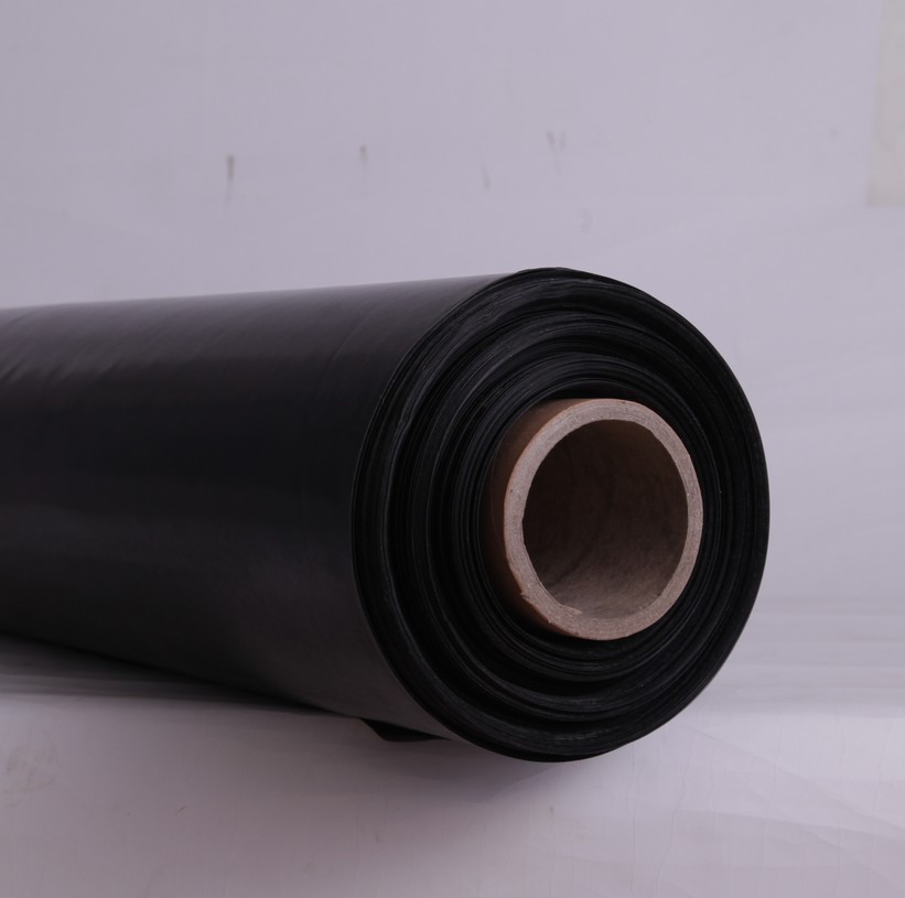 Fish Pond Anti-Seepage Film Geomembrane Thickened Mulch Pond Waterproof Busfish Pool Special Breeding Plastic Film Cistern