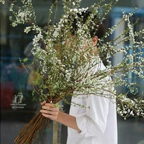 Snow willow branch water flower arrangement rich and expensive bamboo snow willow fresh branches with water bacon and flowers with water blooming flower flower arrangement