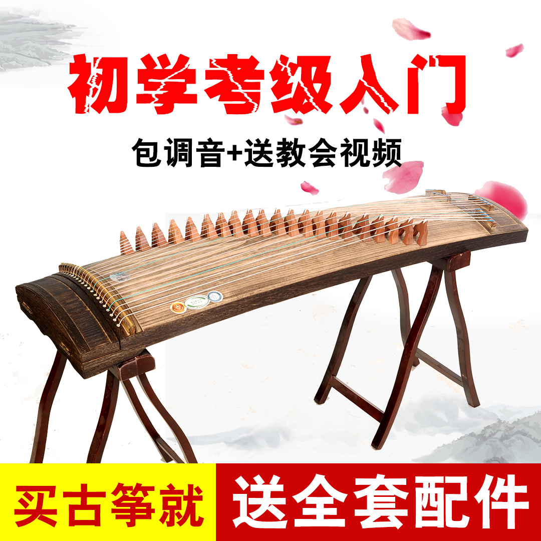 Small guzheng portable mini novice teaching entry 21 strings 125cm adult beginner guzheng