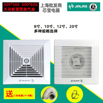 Golden Ling Ventilator Toilet 8 inch exhaust fan Ceiling Type 10 inch kitchen 300x300 exhaust fan 600x600
