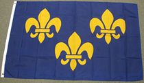 外贸货鸢尾法国国FLEUR DE LIS FLAG FRENCH FLAG亚马逊WISH EBAY