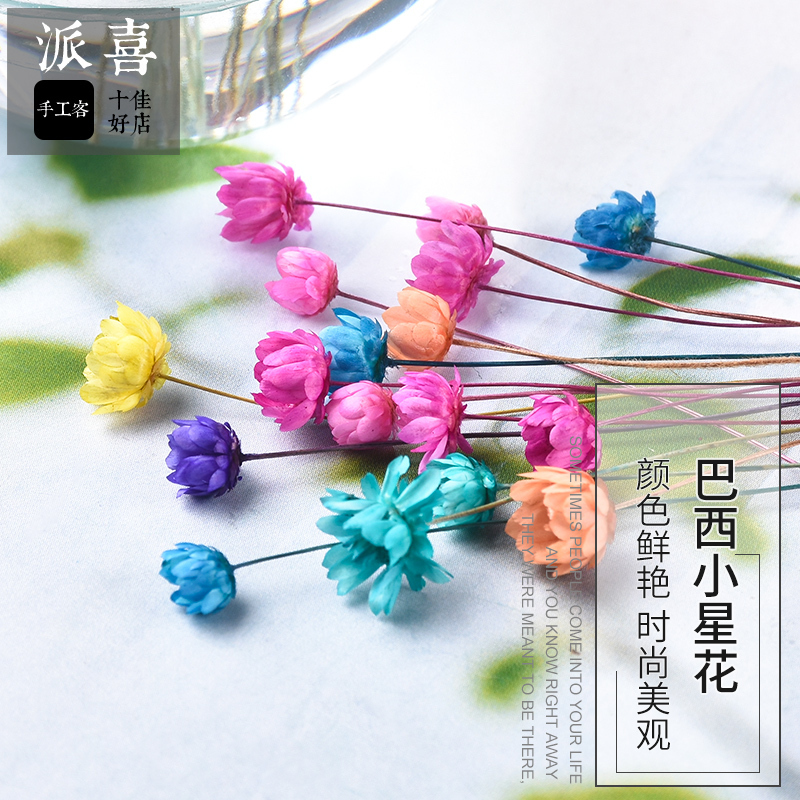 Pixi Brazil Small star flower crystal drop glue DIY dried flower decoration bouquet Small fresh flower arrangement wishing bottle filling