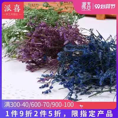 Pai Xi crystal glue material dry flower lover grass hay with branches dried flower DIY mobile phone Protective case decoration 5g pack