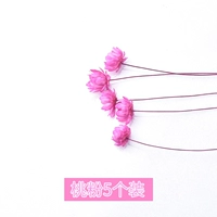 Бразильский маленький цветочный порошок цветочного цветов Бразилии