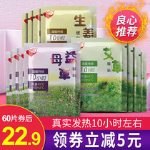 Warm stickers girls aunts palms palaces warm patches hot patches wormwood warm palms