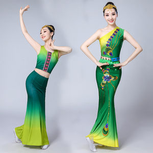 Chinese folk dance dress for women Dai Dance Costume performance costume female adult training dance skirt
