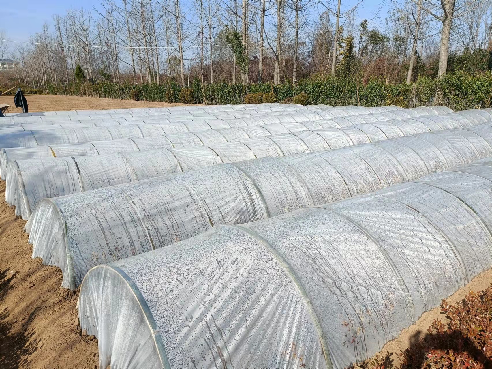Transparent plastic film small arched shed film greenhouse second floor insulated antifreeze and anti-ageing film