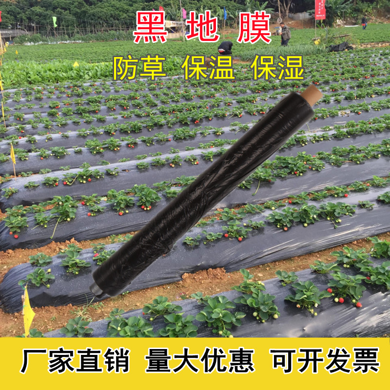Weeding Black Mulch Agricultural Black Film White Film Orchard Anti-Grass Film Insulation Moisturizing Vegetable Plastic Pe Film Thickened