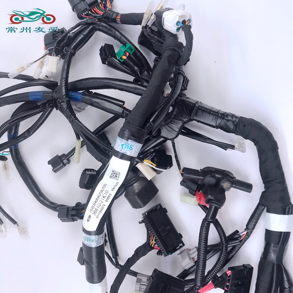 Suitable for GSX250R GW250 DL250-A body wire harness cable car large line fuse original factory
