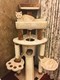 Large cat climbing frame cat nest cat tree integrated vertical sisal multi-layer cat scratching board shelf cat supplies exported to Japan