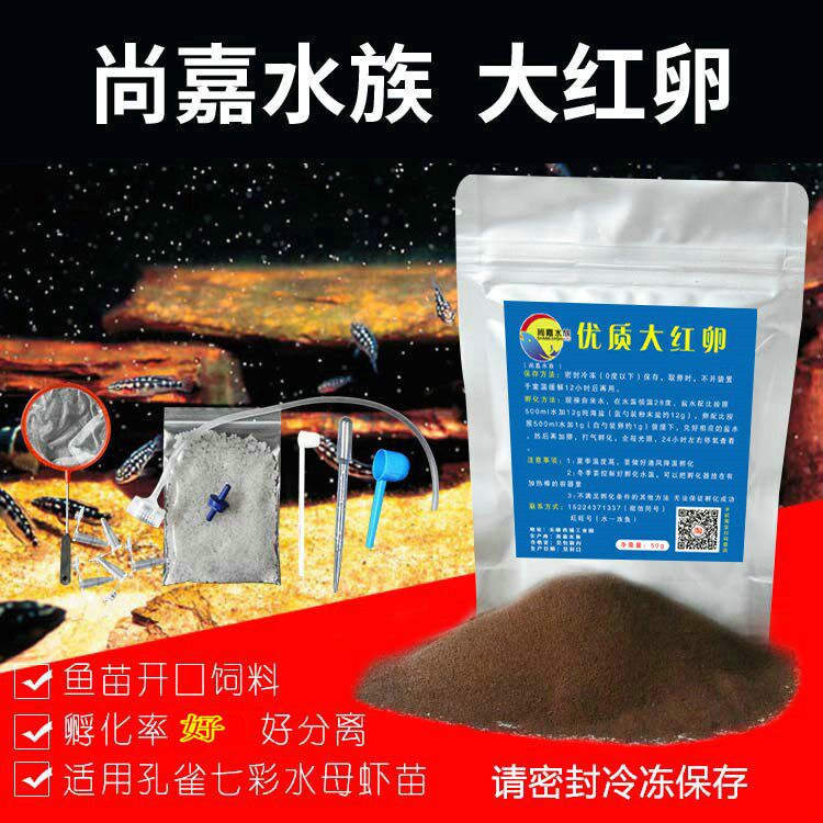 Shangjia water ethnic large red eggs this year New eggs Incubation Year Shrimps Eggs Fish Fry Open Fish Feed Buy A Send 9