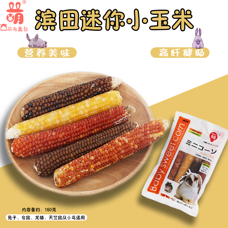 Pets88 Hamada mini corn PE34-rabbit hamster ChinChin guinea pig bird 160g molars