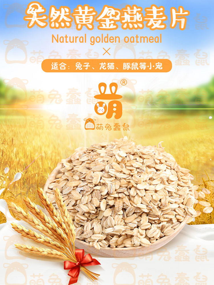 Natural oatmeal with rich protein 100g rabbit hamster with zero food nutrition fresh