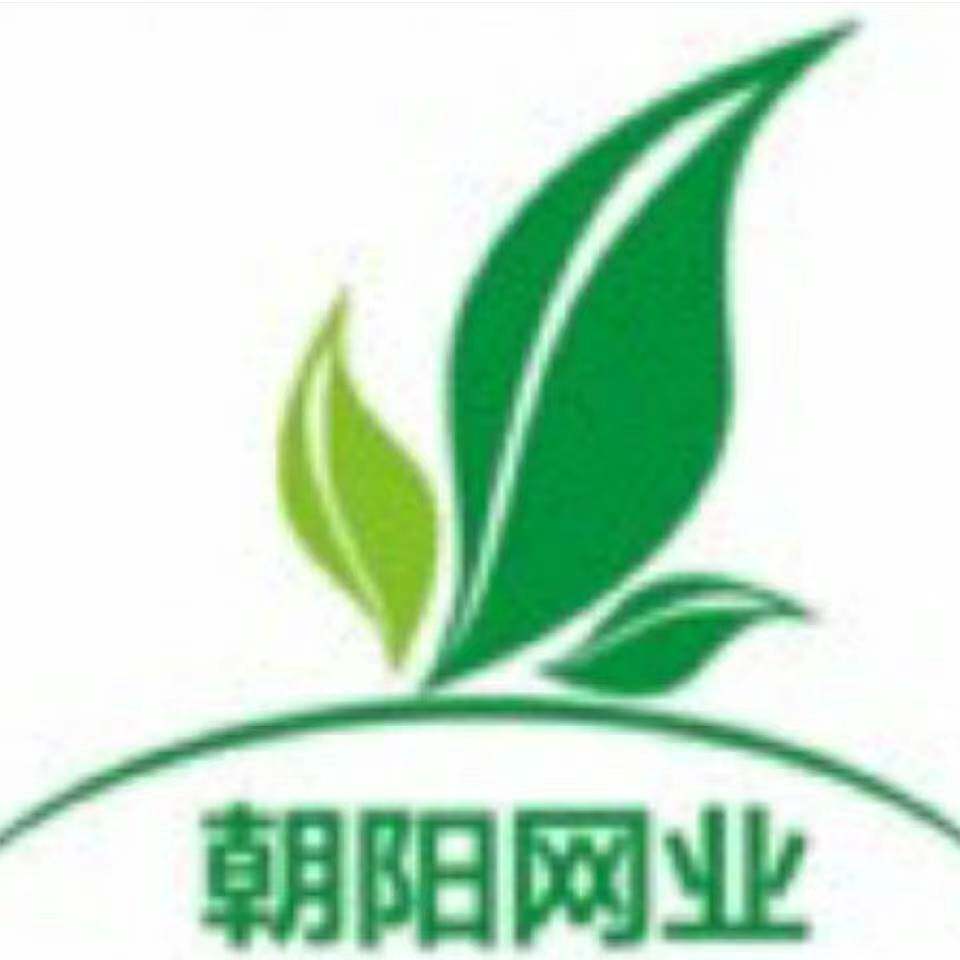 朝阳网业