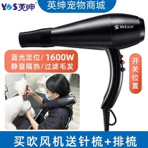 Yingshen pet hair dryer beautician special hair dryer pet shop hanging neck blue light mute cat and dog hair dryer